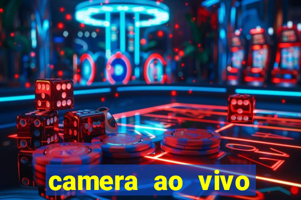 camera ao vivo terminal vila nova cachoeirinha