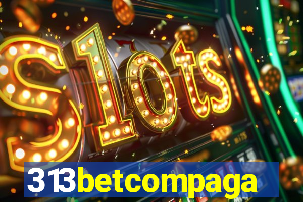 313betcompaga