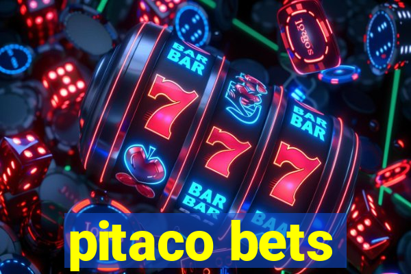 pitaco bets