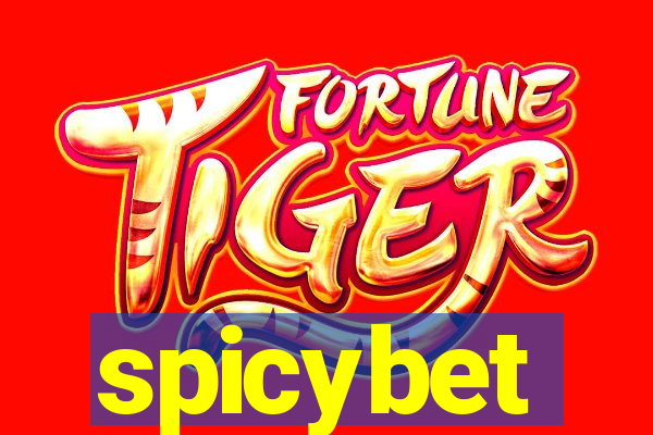 spicybet-4.com